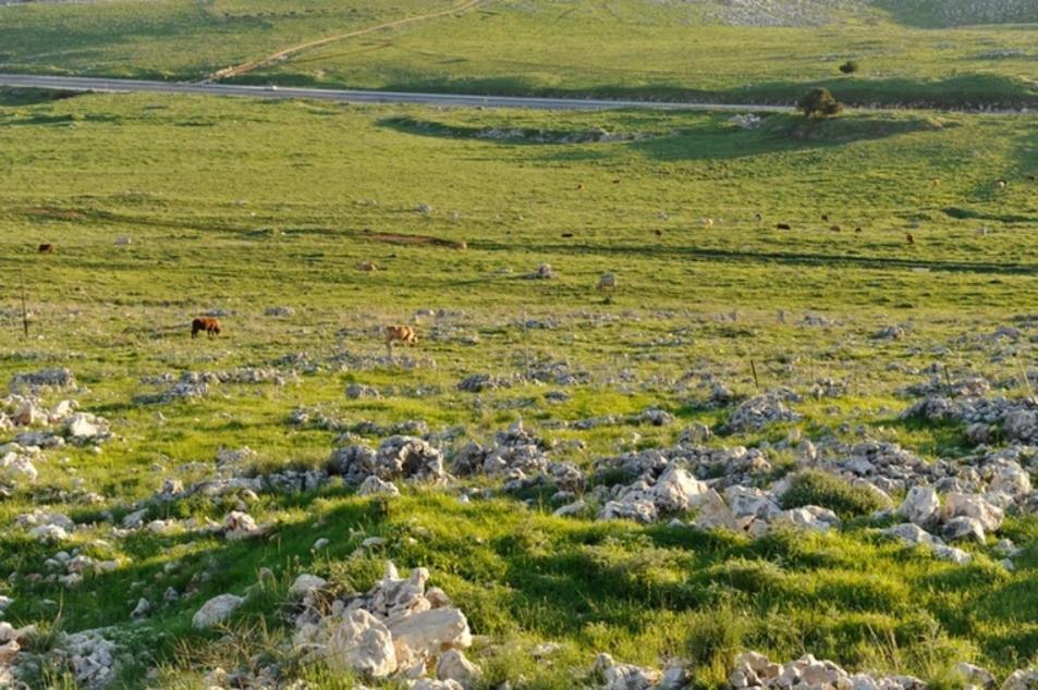 קאמי מלון בוטיק Safed Zewnętrze zdjęcie